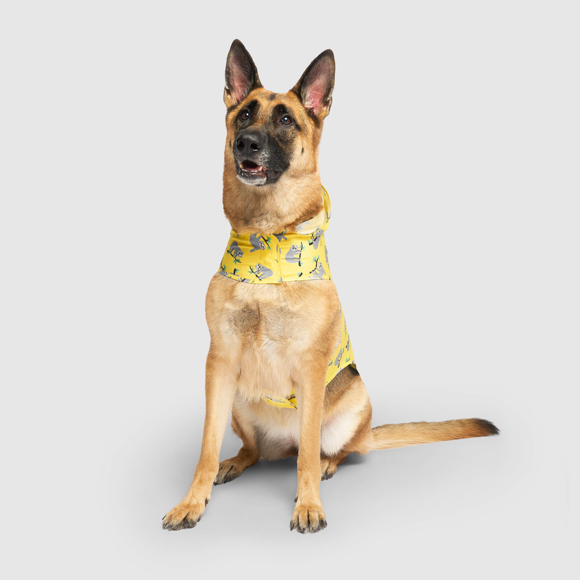 Product image 30