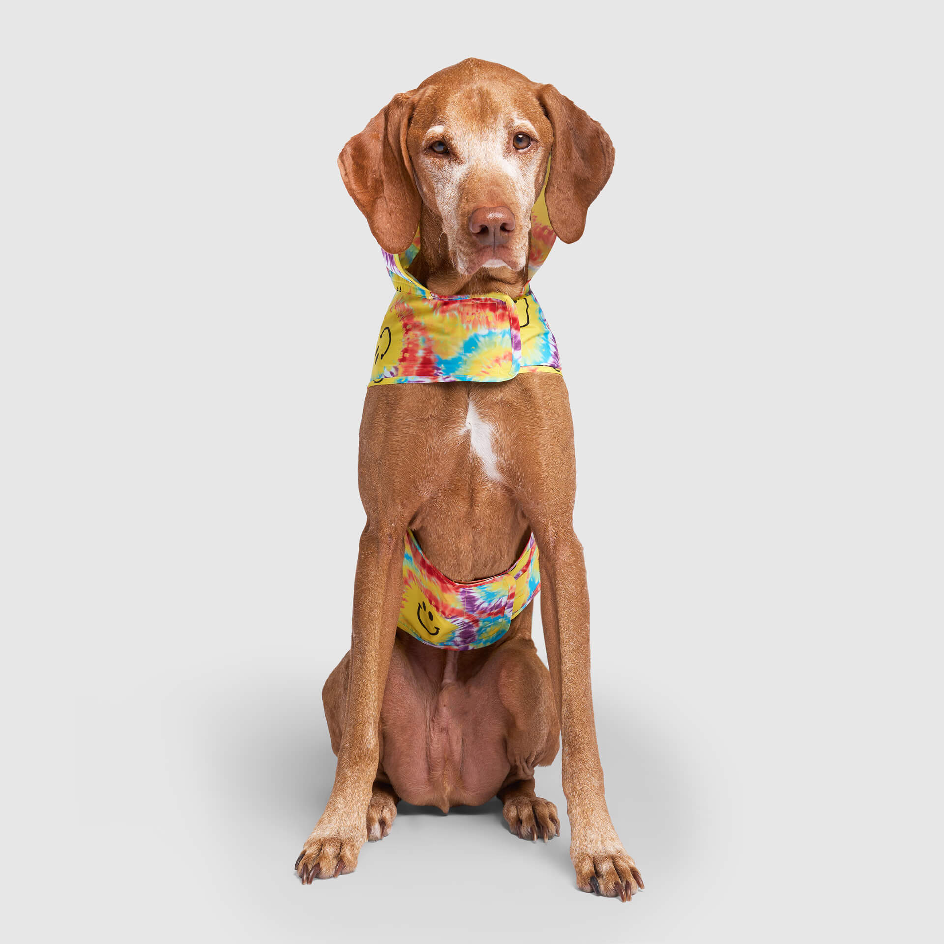 Product image 35